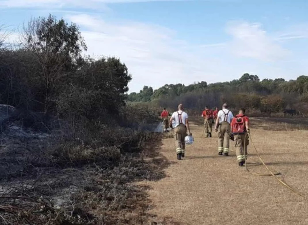 Over the weekend, firefighters battled a number of grass fires in and around London – (ID 529410)