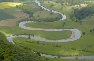 Müller Charity Payment For Ammonia Discharge To The River Tern