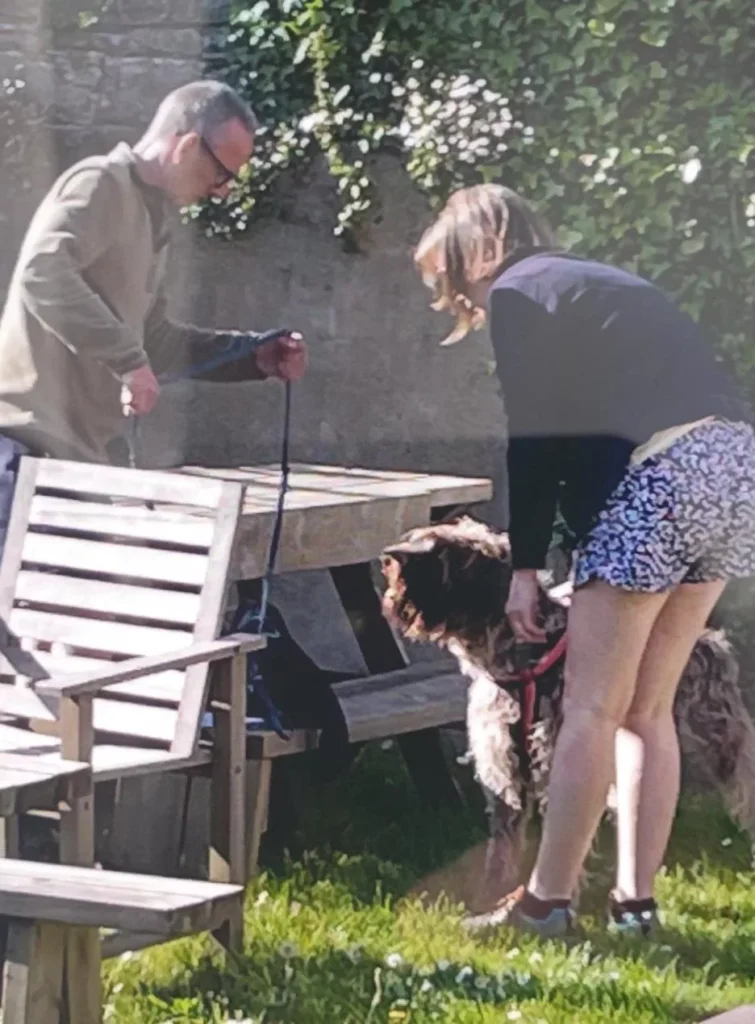 A Seven-year-old Youngster Was Severely Hurt In A Dog Attack In A Bar Garden, And The Owners Allegedly Fled The Scene