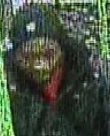 British Transport Police Has Issued A Cctv Image Of A Man They Believe May Be Able To Help Their Investigation Of A Hate Incident