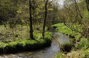 New Plan For Cleaner And More Plentiful Water