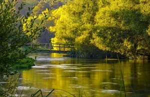 Companies That Pollute Our Waters Could Face Unlimited Penalties