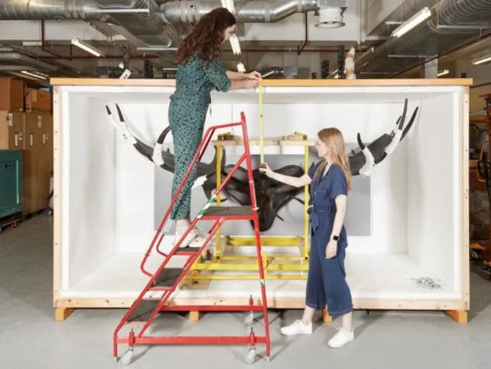 In collaboration with the University of Reading, the Natural History Museum has announced plans to open a major research hub at Thames Va…