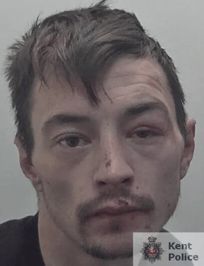 A Dover burglar was sentenced to prison after he pushed an elderly woman to the floor after she discovered him in her home during a steal…