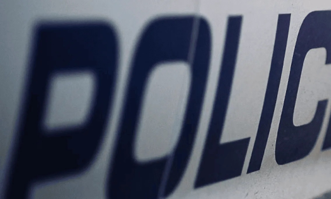A pursuit which began after a van displaying false number plates activated cameras on the A3 resulted in the arrest of a man wanted for a…