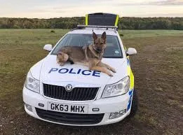 After a quick response from police in east Kent, two suspected catalytic converter thieves were apprehended