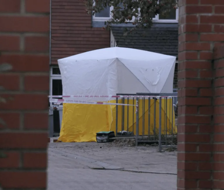 Detectives investigating the murder of a man in Sutton have made an arrest