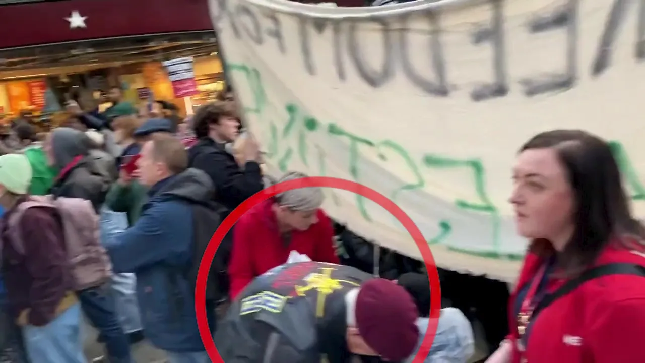 British Transport Police Drop Investigation Into Alleged Attack On Poppy Seller At Pro-palestinian Rally