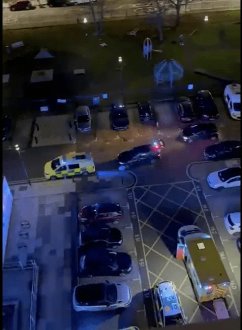 Tragic Death of 14-Year-Old Girl in East London Tower Block Fall