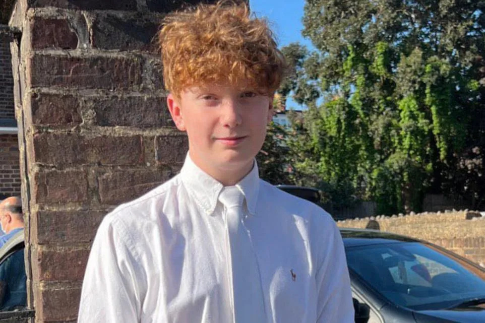 Boy, 15, arrested on suspicion of murder after Harry Pitman fatally stabbed on New Year’s Eve