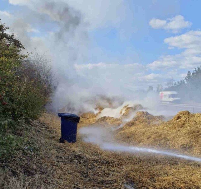 Massive Chaos on A14 After Lorry Hay Bale Blaze Sparks Full Closure – UKNIP