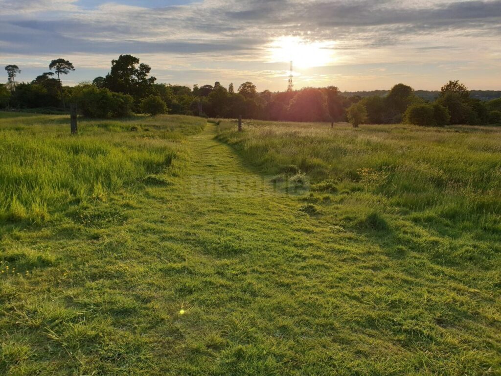 Body of woman found at Hayle Park Nature Reserve in Tovil, Maidstone