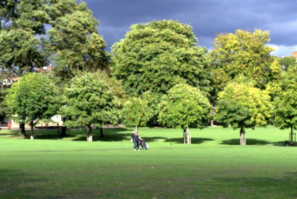 Man Left Seriously Injured After Brutal Group Attack in Peckham Rye Park