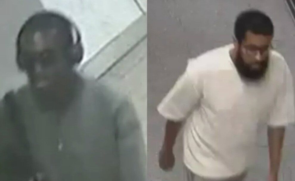 Shocker on Victoria Line: Woman Upskirted on Tube – UKNIP