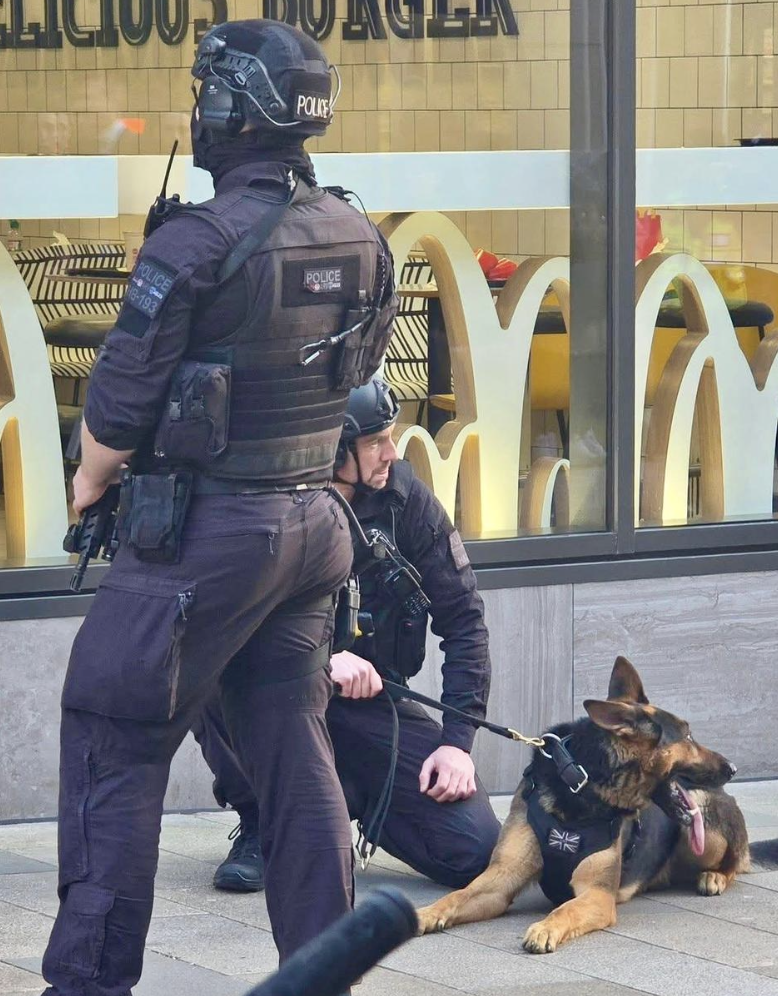 Armed Police Lock Down Bracknell Town Centre McDonald’s After Reports of Men with Knives