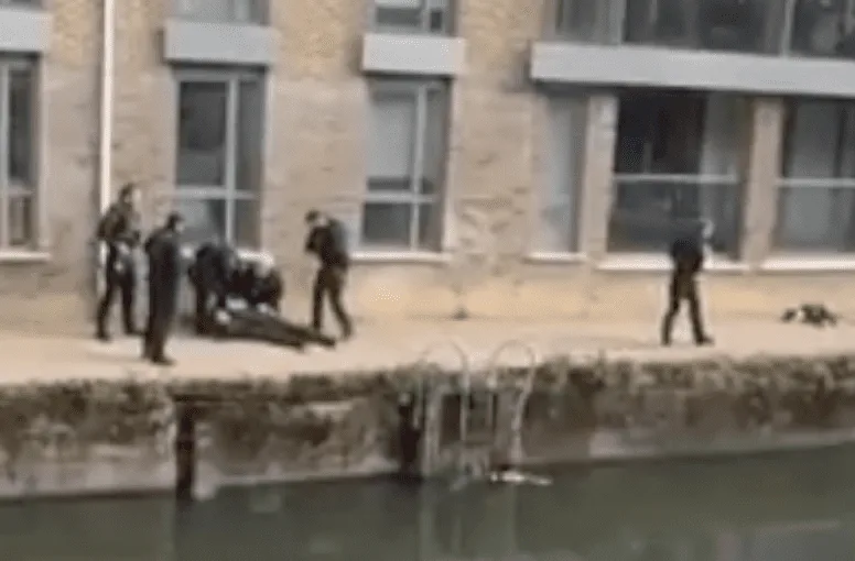 East London Dogs Shot Live Update: Two Dogs Have Been Shot Dead By Armed Police  And A Man Has Been Arrested  In East London After A Woman Was Attacked By An Out Control Dog