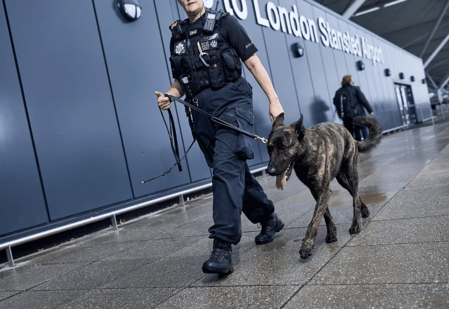 A Woman Is Due To Appear In Court Tomorrow To Face A Charge In Connection With A Security Alert On Board An Easyjet Flight At #stansted Airport