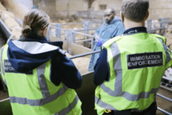 Two arrested in immigration raid at Manchester abattoir – (ID 555008)