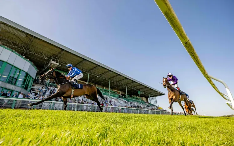 Brighton Racecourse Meeting Cancelled After Wildlife Wrecks Track