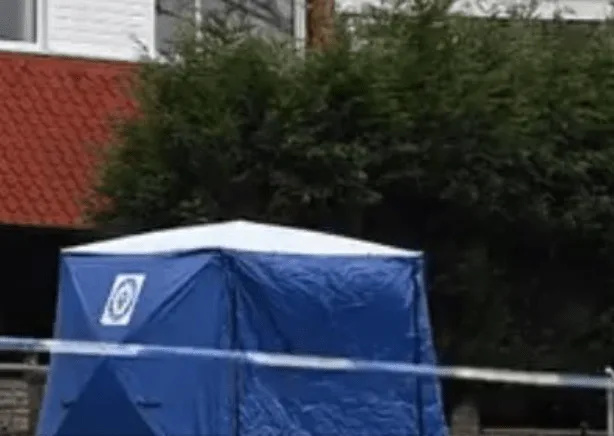 Suspicious Car Stops to Offer 11-Year-Old Boy Lift Near Tadley – Police Seek Witnesses