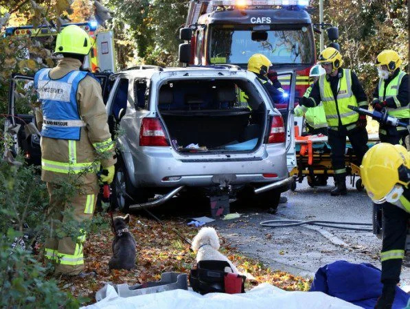Woman Rescued After Four-Car Crash Blocks Fareham’s Newgate Lane for Hours