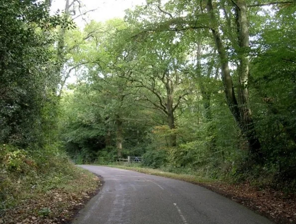 Marchwood Jogger Terrified as Tattooed Flasher Jumps Out Naked at 9:30am