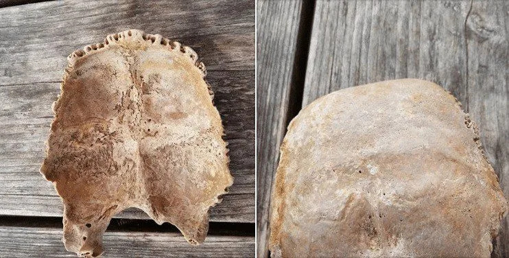 Police launch Probe after Human remains  Found on Isle of Wight Beach