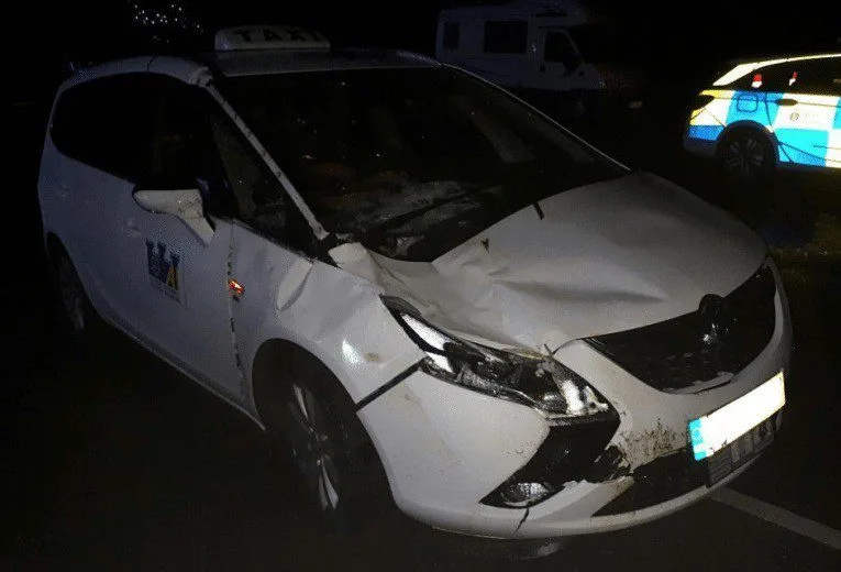Taxi Hits Cow on Dover Road at Night – Driver Unhurt as Vet Rushed to Scene