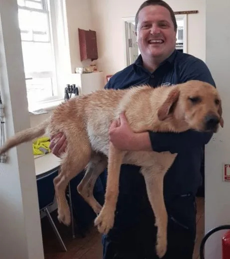 Wightlink Heroes Save Labrador Bertie After Half-Mile Sea Swim Near Ryde Pier