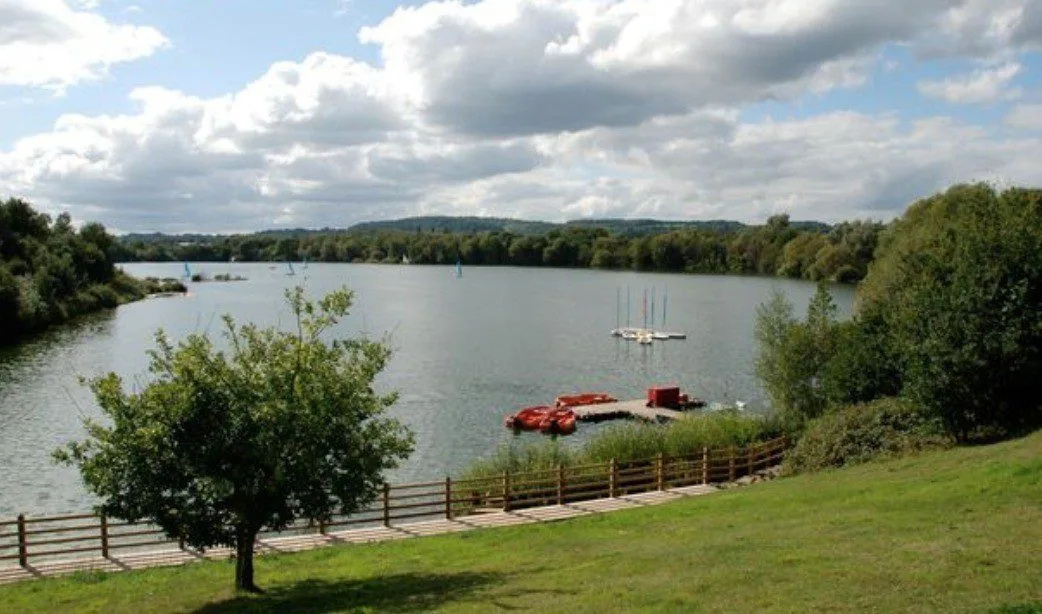 Tragic Death at Nutfield Lake: Man Found Dead After Struggling in Surrey Water