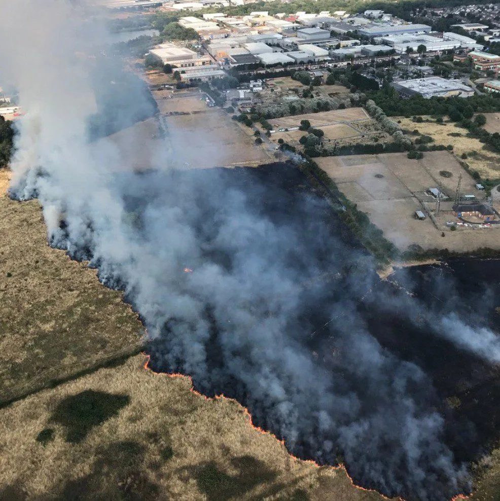 Feltham Blaze Rages Over Four Football Pitches – 14 Horses Rescued as Firefighters Battle Massive Inferno