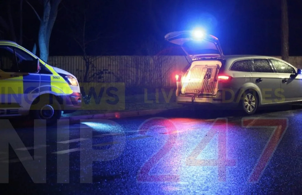 Sandown Mini Driver Slams Wall After Drink-Drive Arrest Near Apse Heath