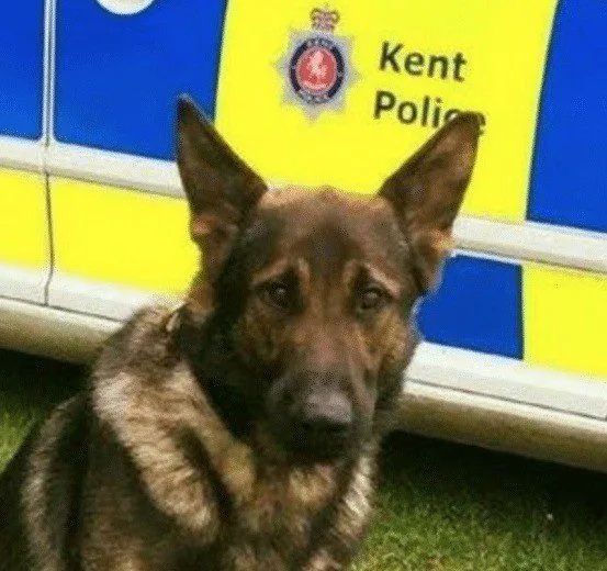 Teenager arrested over assault and robbery in Tunbridge Wells