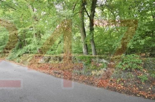 Woman Assaulted After Man Jumps in Front of Car in Stoke Poges – Police Seek Beanie-Wearing Suspect