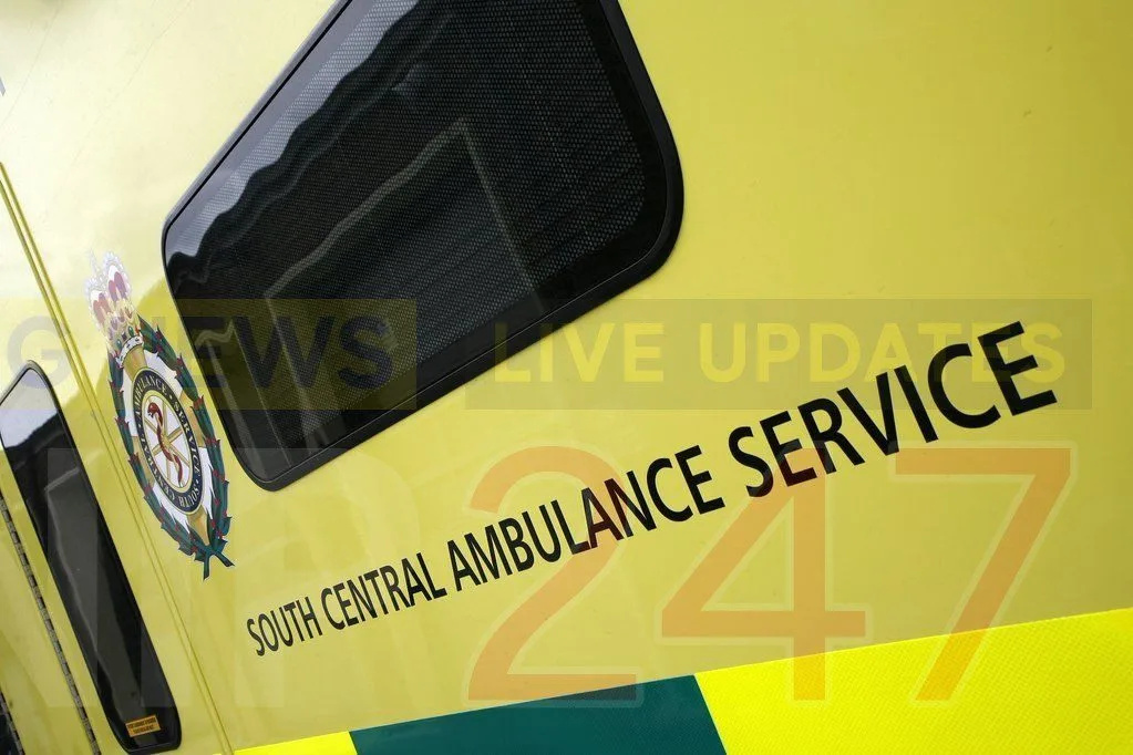 Child Suffers Serious Injuries in Waterlooville Dog Attack – Two Arrested as Police Launch Investigation