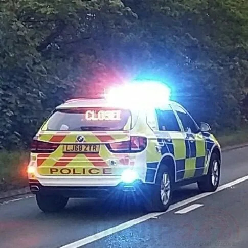 Fatal Ripple Road Crash: Young Driver Killed, Witnesses Urgently Sought by Police
