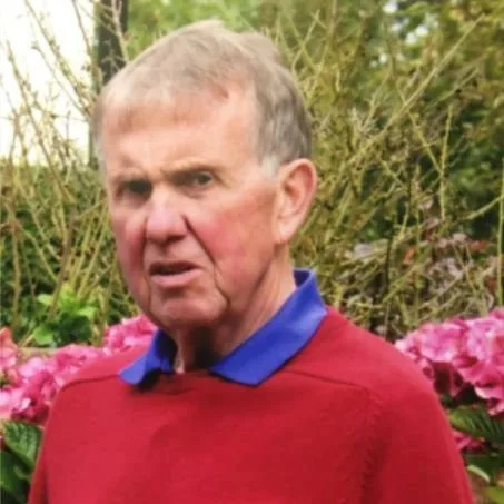Walker, 72, Killed After Cow Attack Near Thirlwall Castle – Police Urge Witnesses to Come Forward