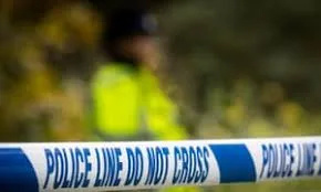 Man Stabbed to Death Inside Car on Jarrow Road, Haringey – Police Launch Murder Probe