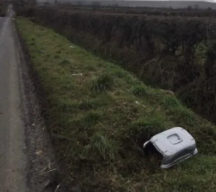 RSPCA Urges Witnesses After Jack Russell Puppy Dumped Dead in Carrier on Wiltshire Road