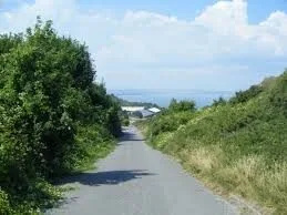 Officers investigating an incident involving a dog on Portland are appealing for anyone with information to come forward