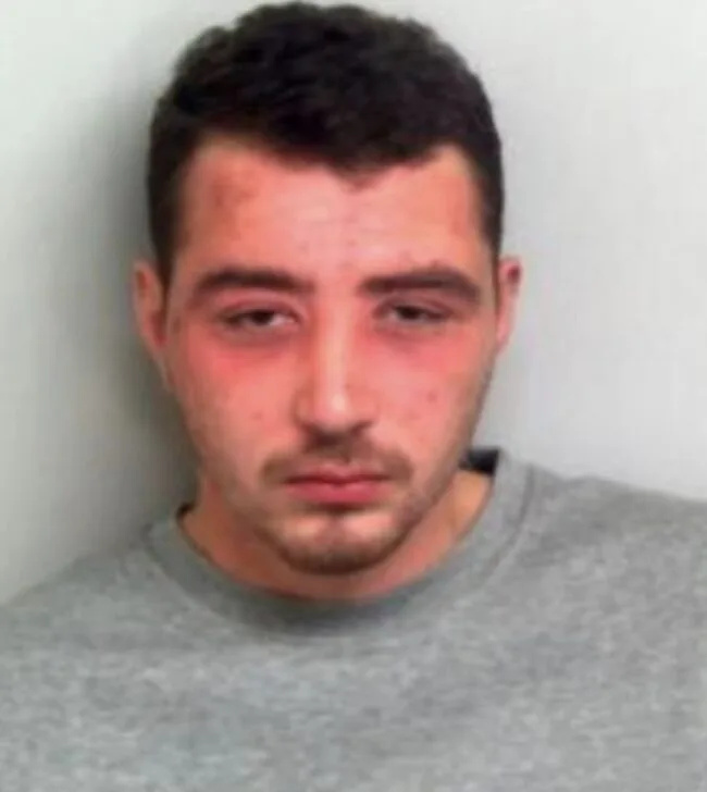 Raging Essex Thug Jailed for Brutal Attack on Police Protecting Family Home