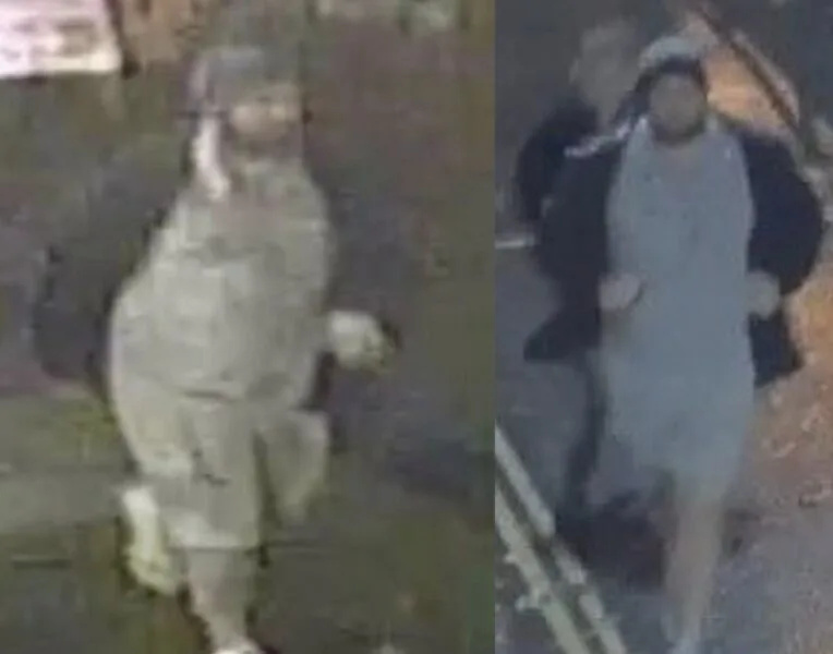 Fulham Football Borrowing Turns Violent: Man Knocked Out in Brutal Eel Brook Common Attack