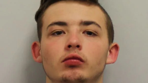 Burglary Bandit Jailed for 4 Years After High-Speed Stolen Audi Chase and Tree Crash in Dagenham