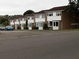 Salisbury Road Rage: Police Seek Witnesses to Audi-Dog Walker Clash
