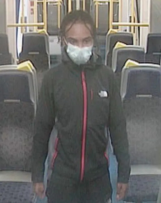 Police Hunt Throat-Grabbing Thief Who Snatched Phone at Falconwood Station