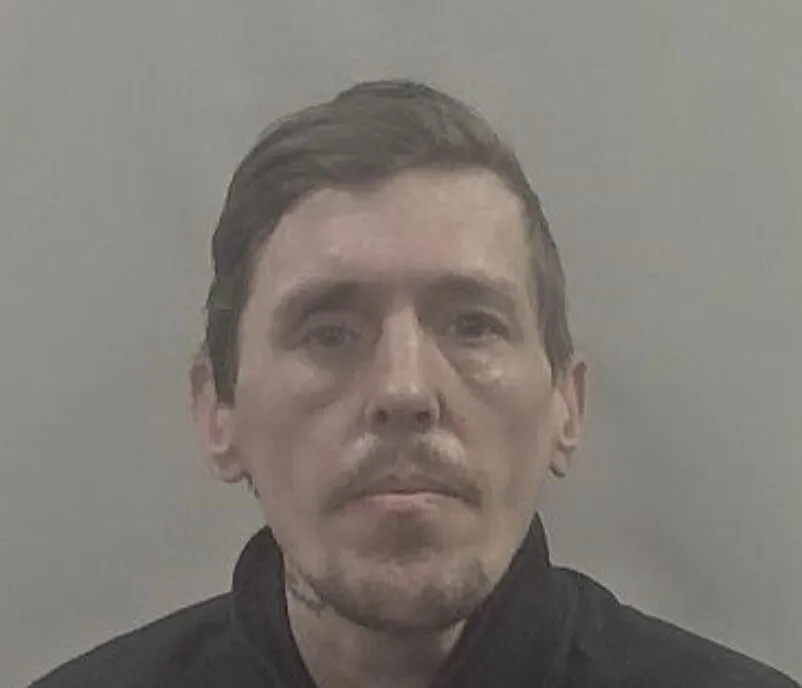 Grimsby Thug Michael Pullan Jailed 27 Months for Cowardly Attack on Elderly Man