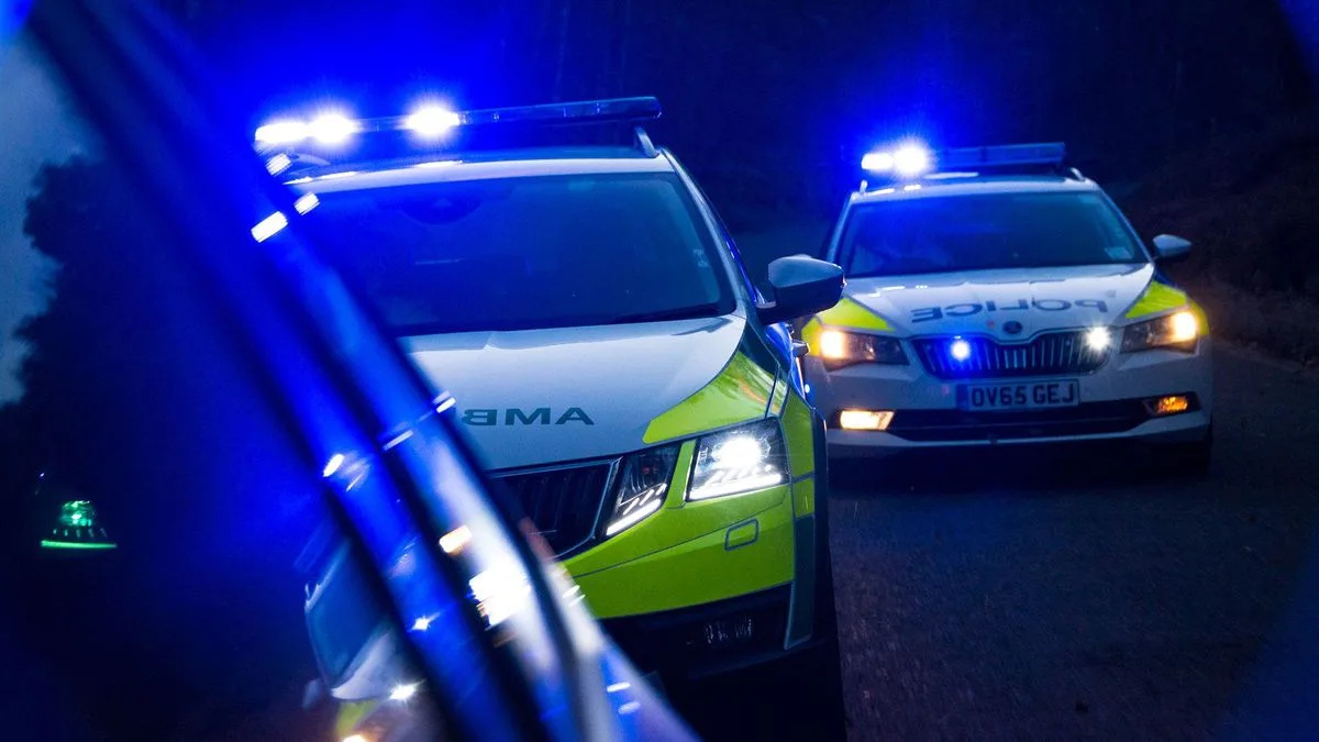 An investigation has been launched after two men were stabbed in Plumstead
