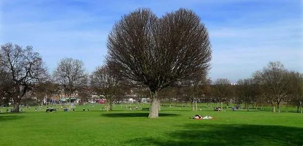 Man Stabbed in Brockwell Park: Police Appeal for Witnesses After South London Knife Attack