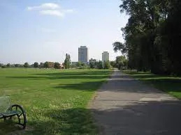 A man has been taken to hospitial after he was stabbed during a fight in the  Lordship recreation ground in Tottenham