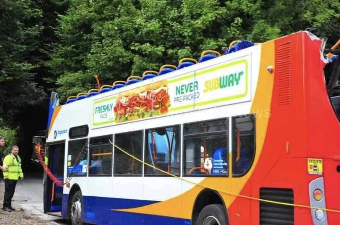 School Bus Driver Jailed for 3 Years After Crash Into Railway Bridge Injures Pupils in Southampton